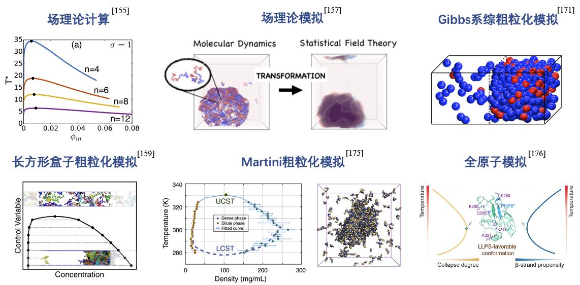 Advances In The Investigation Of Pathological Aggregation And Liquid