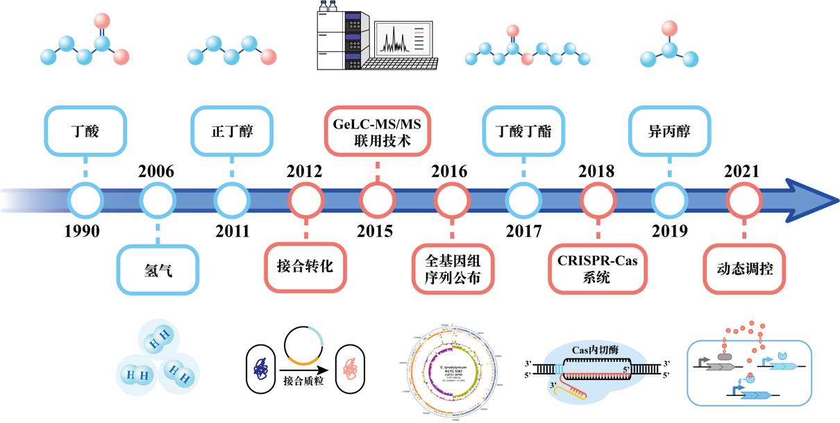 Advances In The Development Of I Clostridium Tyrobutyricum I Cell Factories Driven By Synthetic Biotechnologies