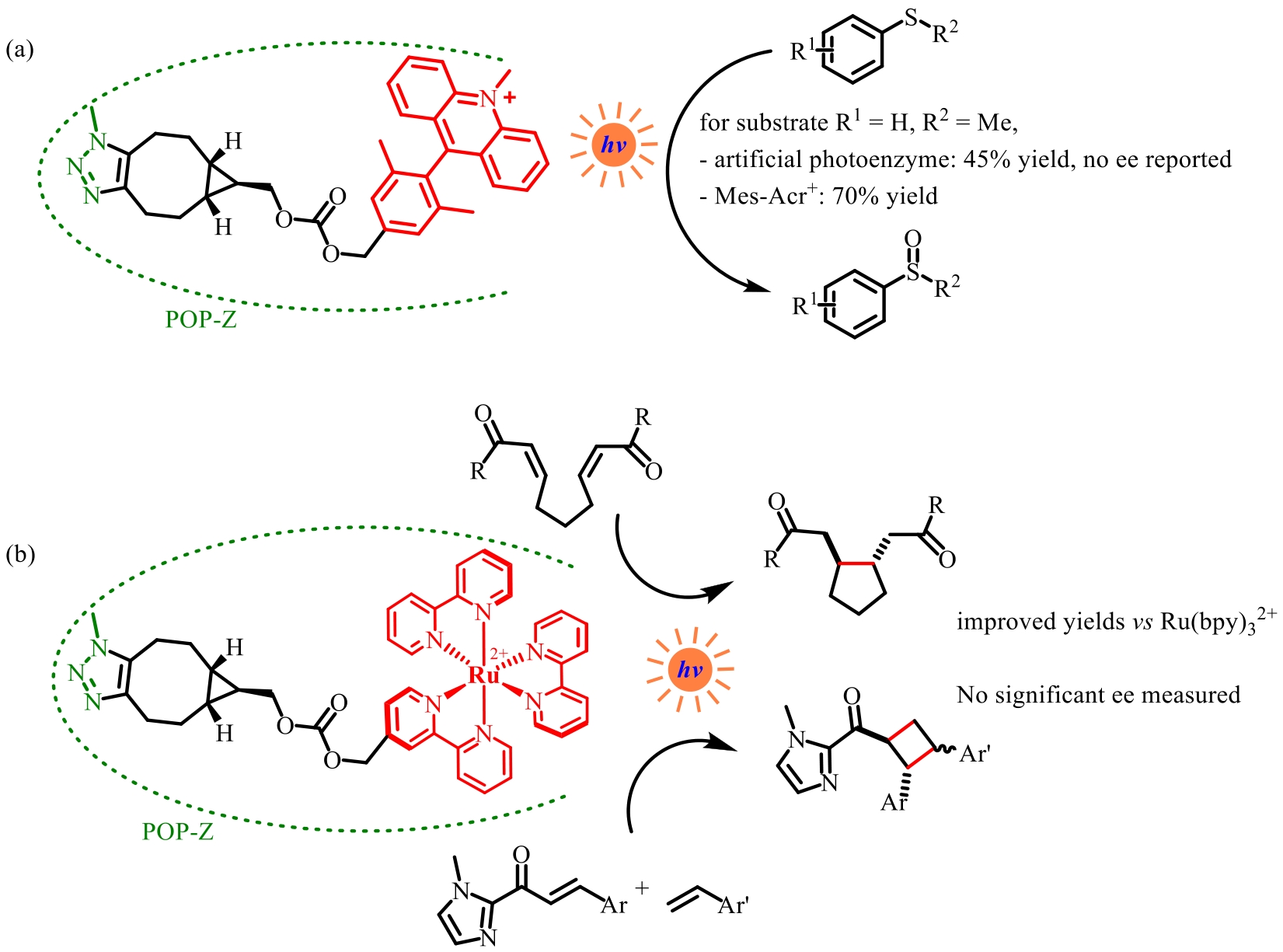 Recent Advances In Photoenzymatic Synthesis