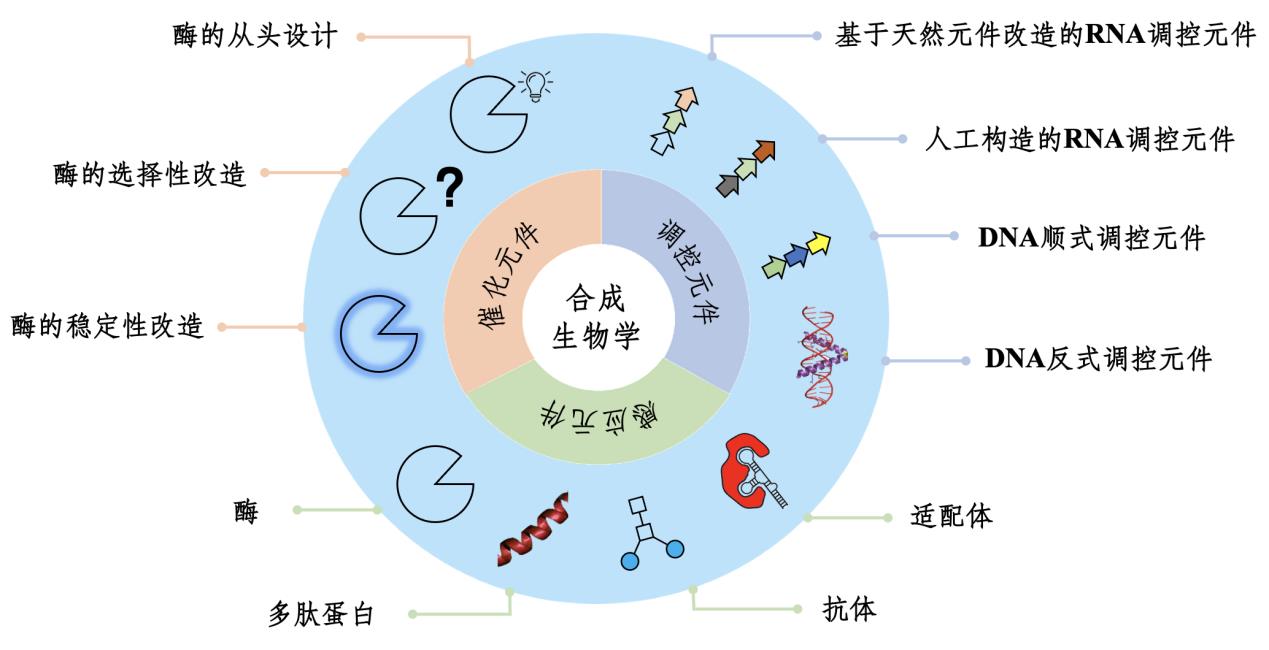 基于人工智能和计算生物学的合成生物学元件设计