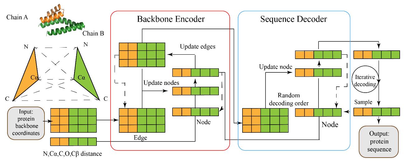 Research progress of artificial intelligence in protein design